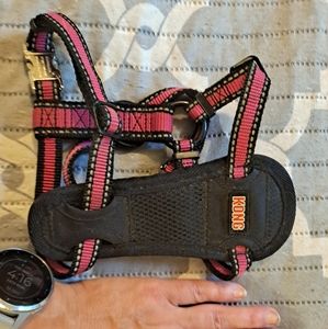 Seatbelt harness with tether